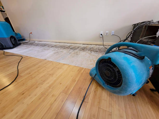 Professional Burst Pipe Water Damage technician working in Schulenburg, TX